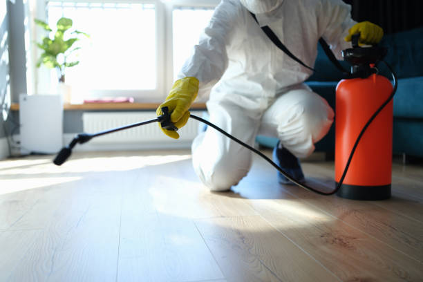 Reliable Odor Removal contractor in Parsonsfield, ME by Trauma Clean Pros
